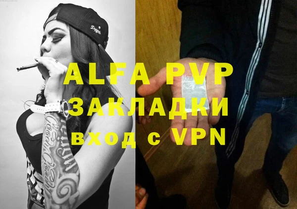 стафф Алзамай