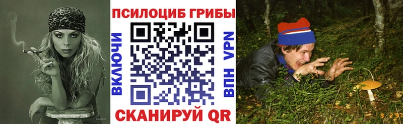 MEGA онион  Райчихинск  Галлюциногенные грибы Cubensis  наркошоп 